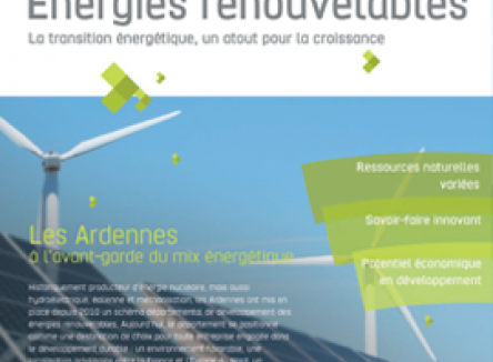 Énergies renouvelables : la transition énergétique, un atout pour la croissance