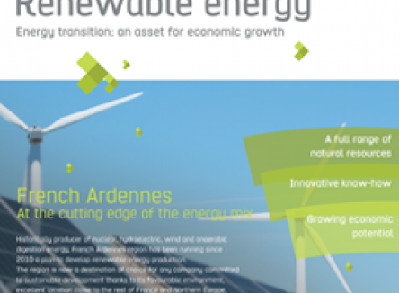 Renewable energy: Energy transition, an asset for economic growth