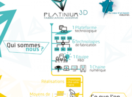 Platinium 3D : l'organisation
